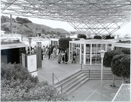 larkspur waiting area 2